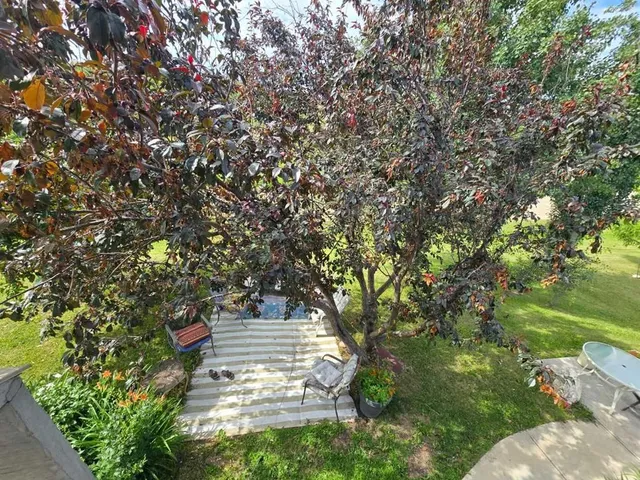 57115 Range Road 80 #109 Main Street,, Rochfort Bridge 4