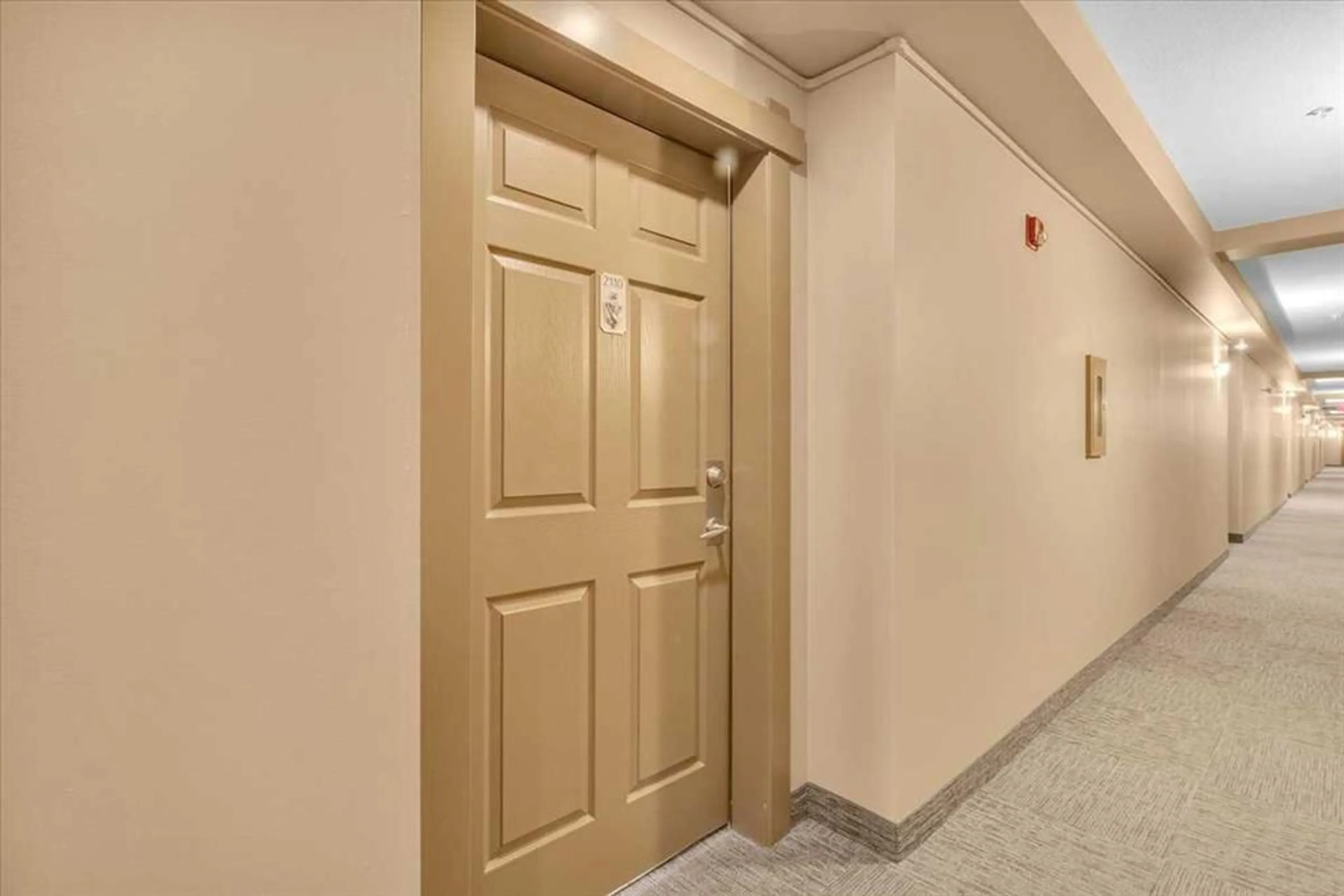 pillar/IMG-A2252849_4.jpg