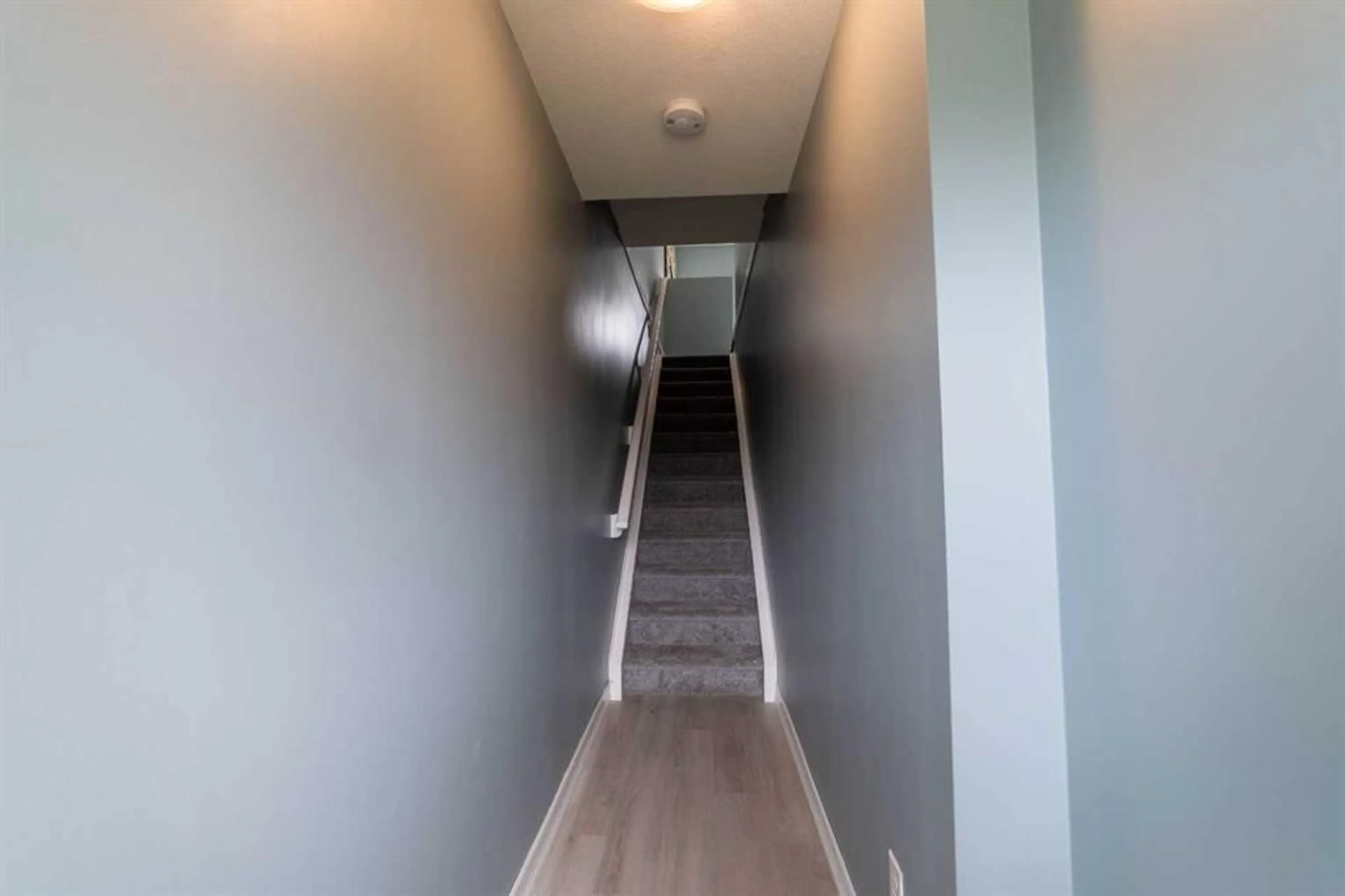 pillar/IMG-A2258277_5.jpg