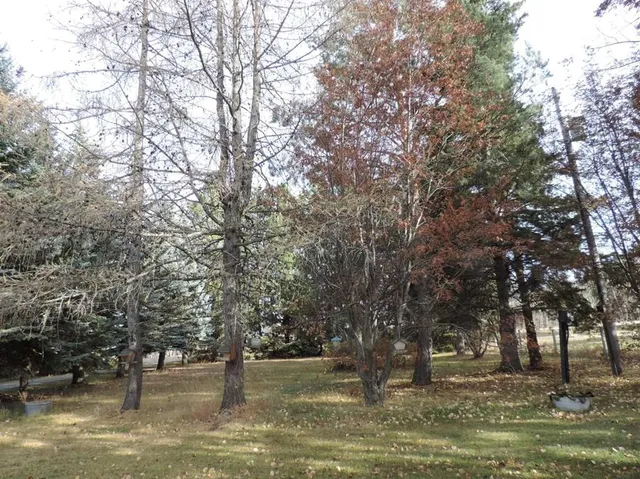RR30, Rural Ponoka County 4