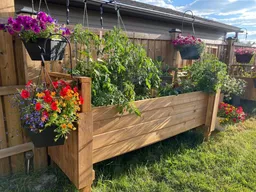 history photo preview