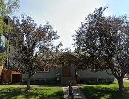 history photo preview