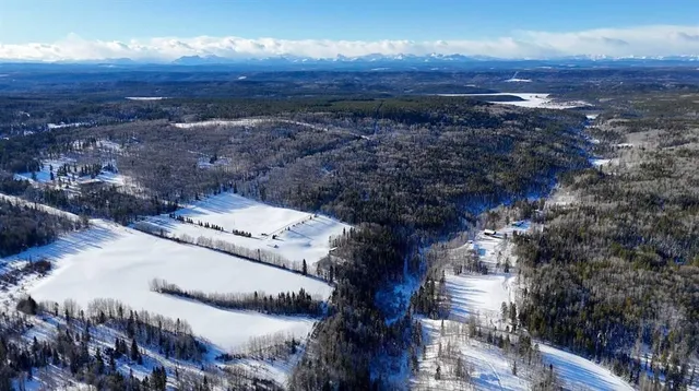 5544 Township Road 302, Rural Mountain View County 3