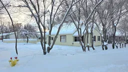 history photo preview