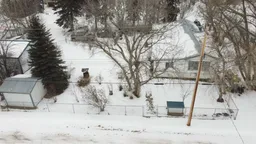 history photo preview