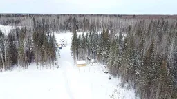 history photo preview