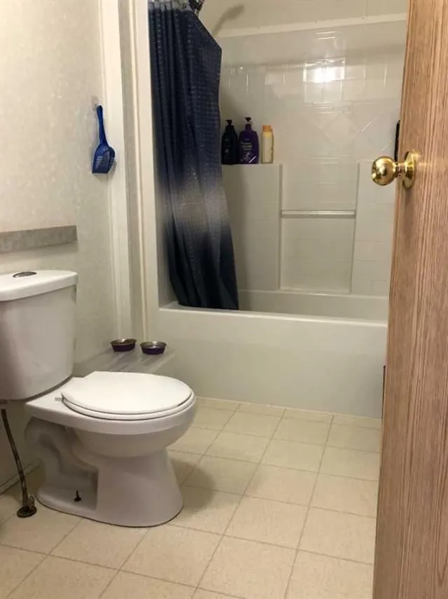 3 Dewberry Rd, High Level 4