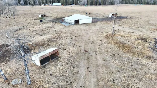 31442 Range Road 45, Rural Mountain View County 4