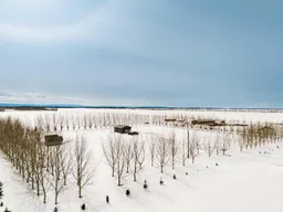 history photo preview