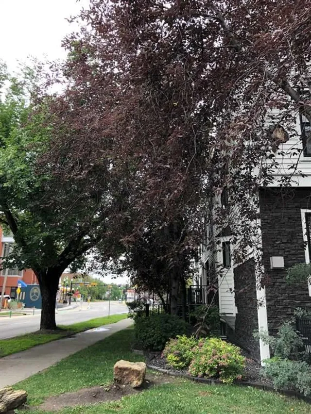 601 15 Ave #1, Calgary 4