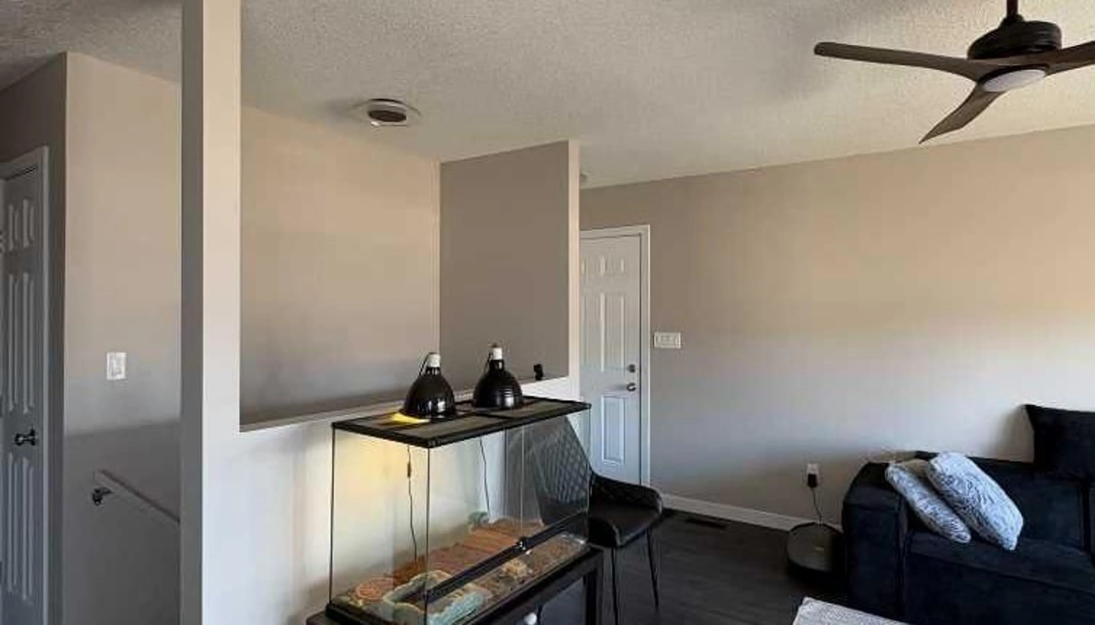 pillar/IMG-A2305526_5.jpg