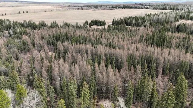 14132 Township Road 570 Rd, Rural Yellowhead County 5