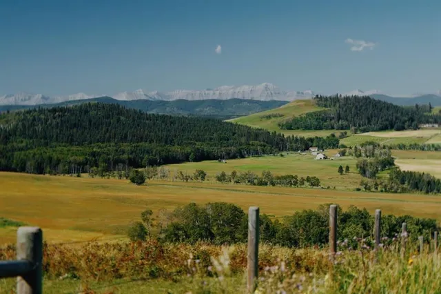 304075 Highway 549, Rural Foothills County 3