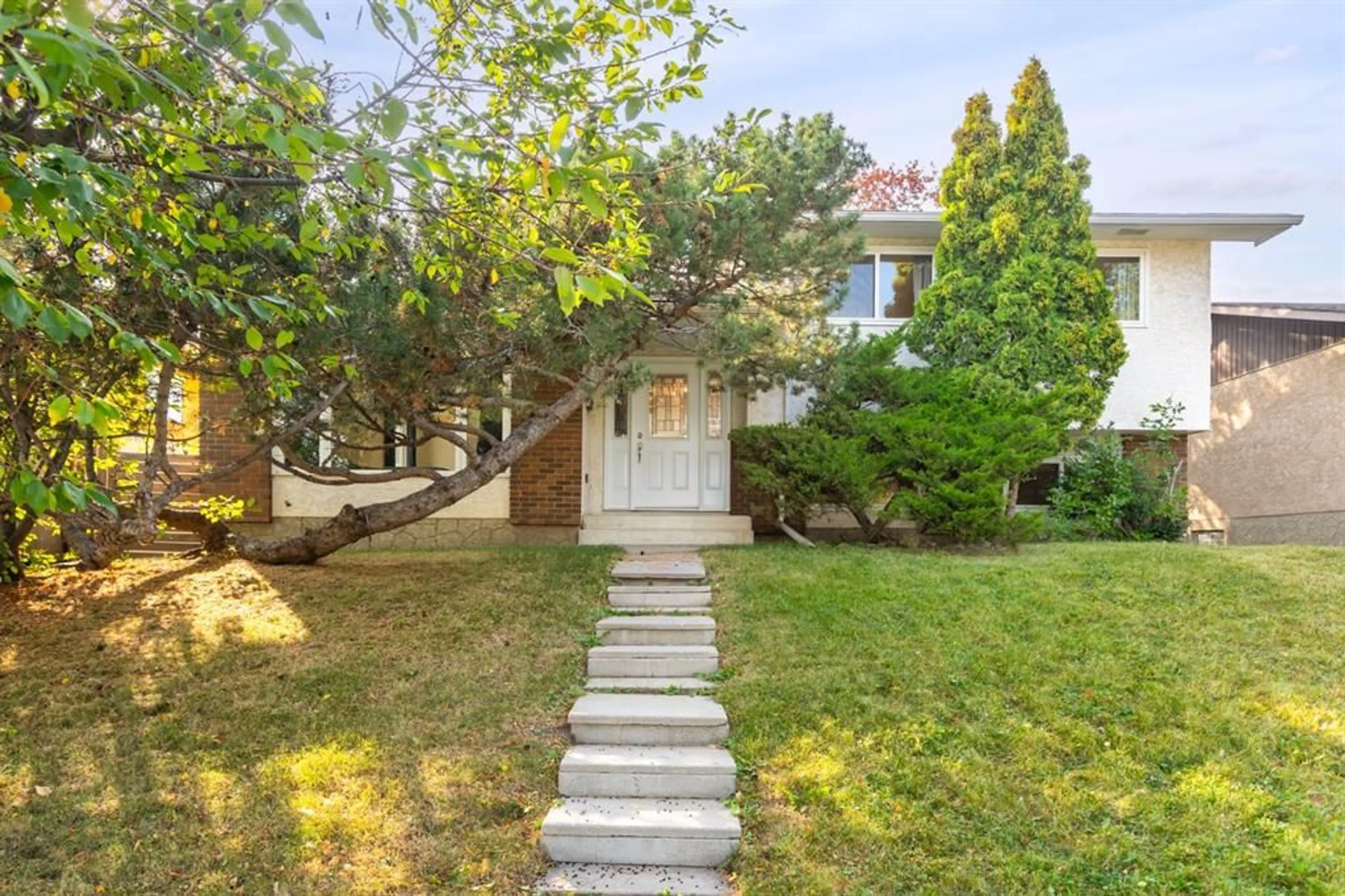 pillar/IMG-A2311546_1.jpg