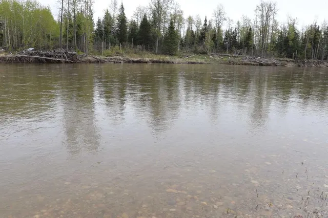 54525 Range Road 142B, Rural Yellowhead County 5