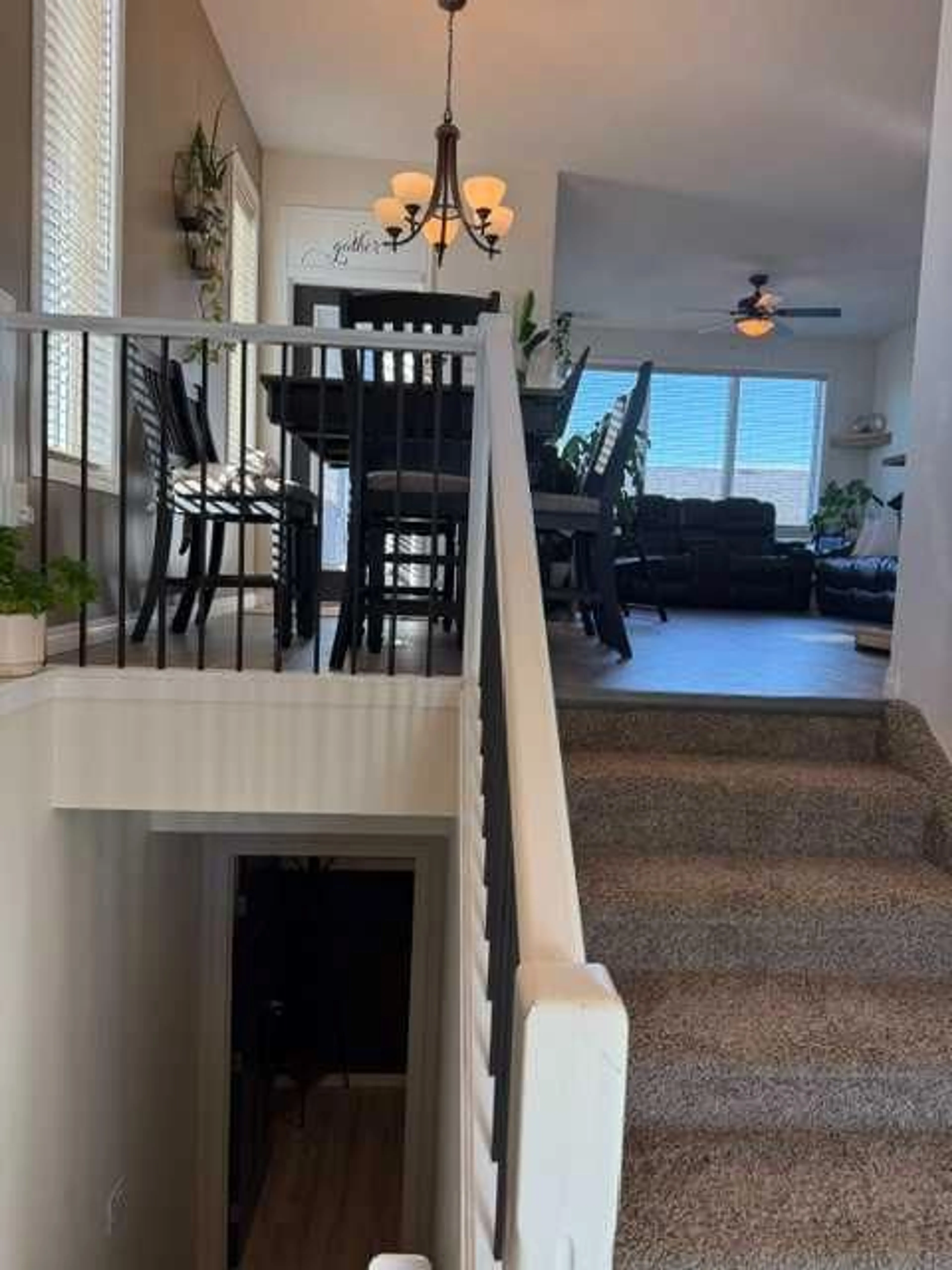 pillar/IMG-A2324383_2.jpg
