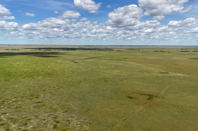 10272 Township Road 300, Rural Special Areas No. 2 5