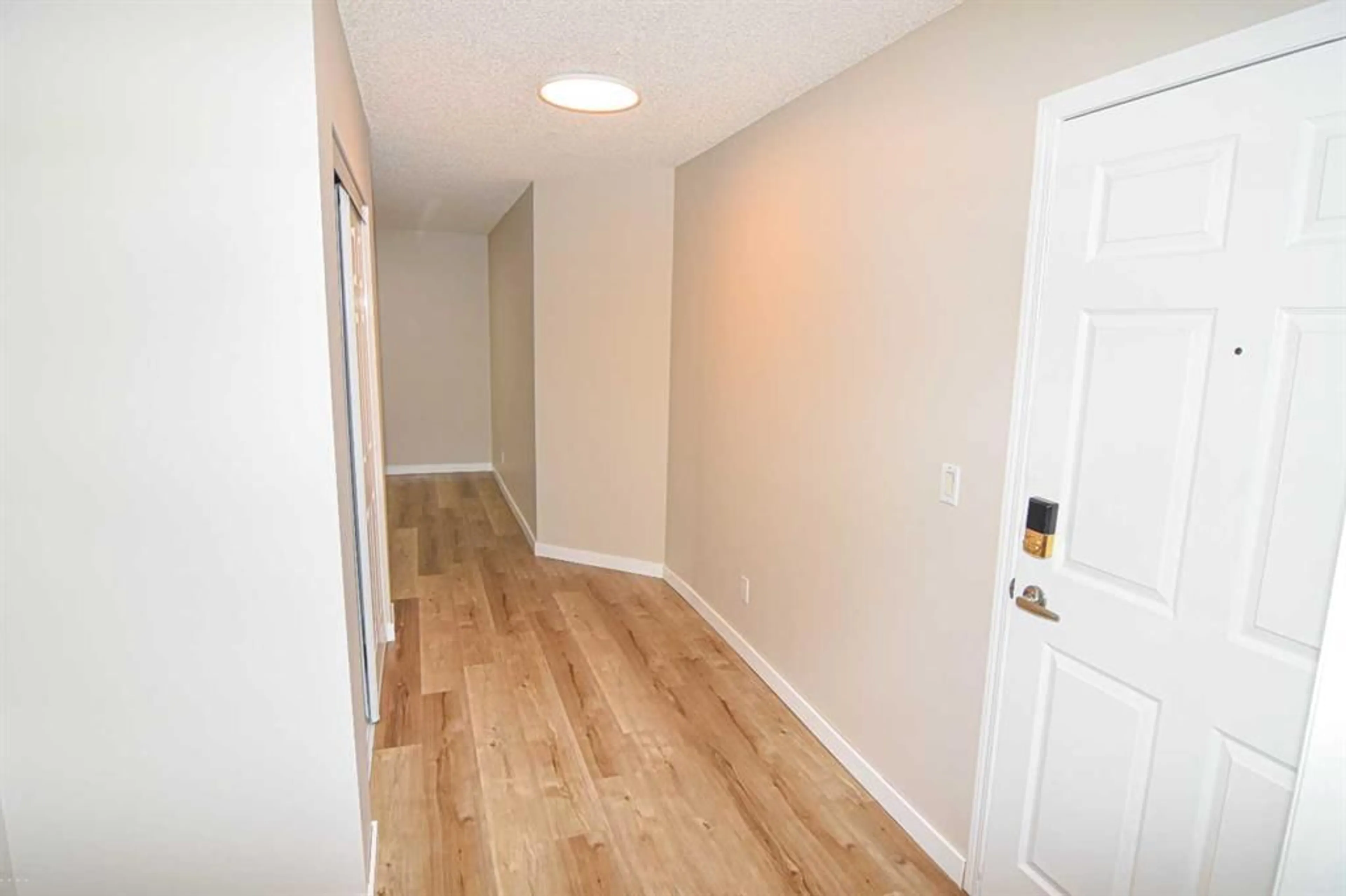 pillar/IMG-A2325680_5.jpg