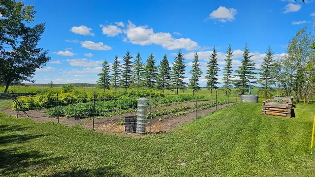 81154 124 Rg, Rural Saddle Hills County 5