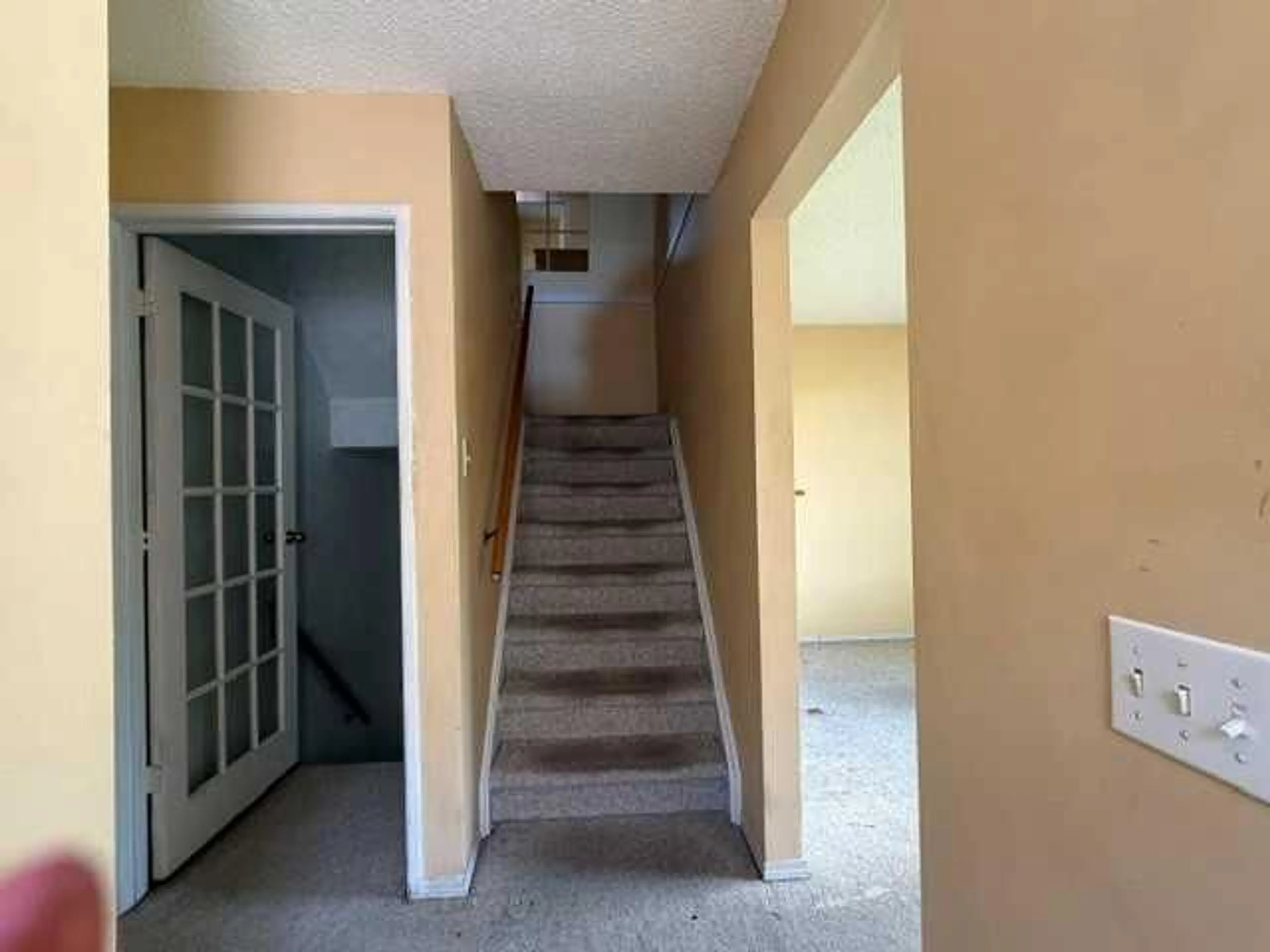 pillar/IMG-A2330257_2.jpg