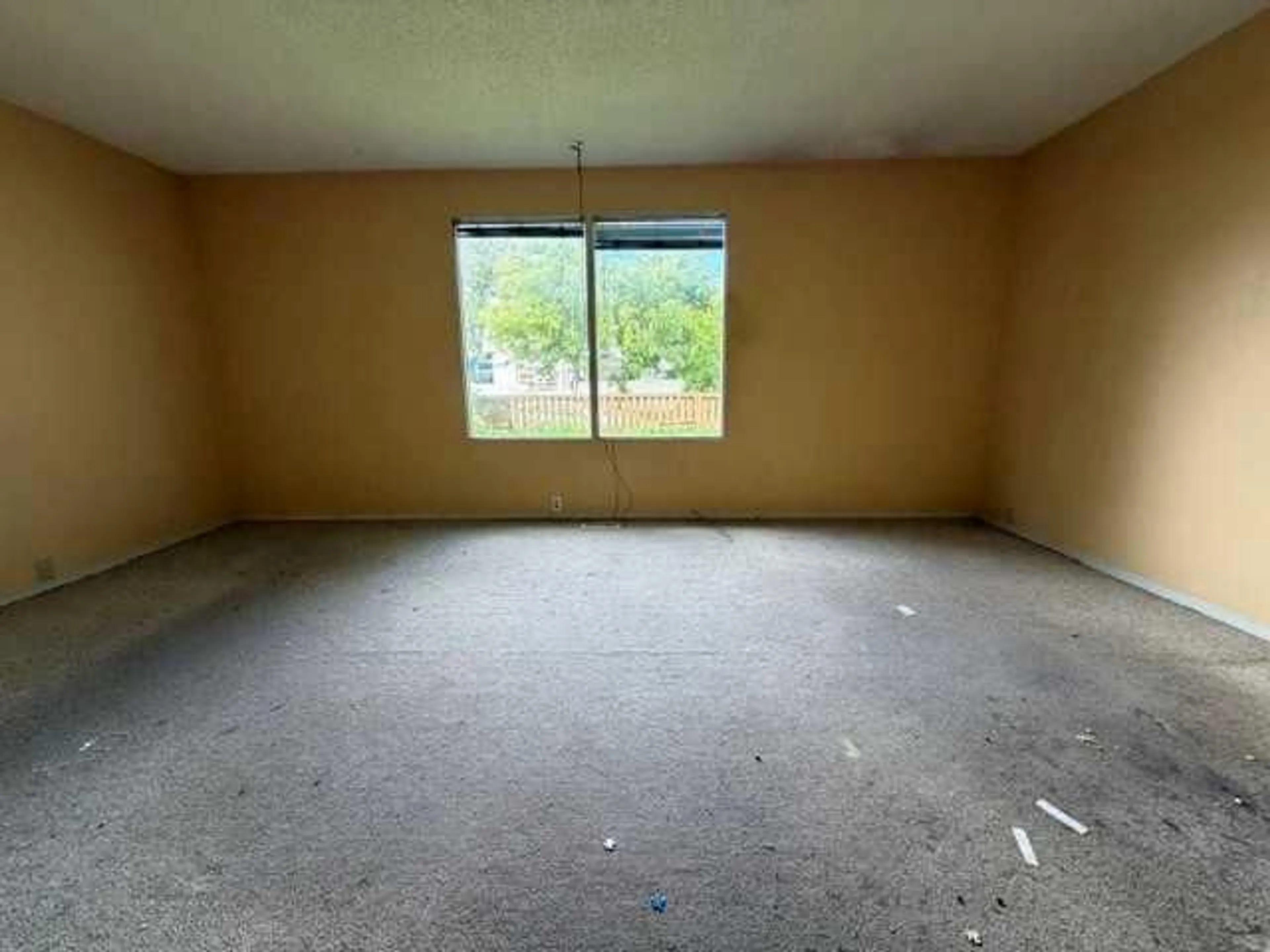 pillar/IMG-A2330257_3.jpg