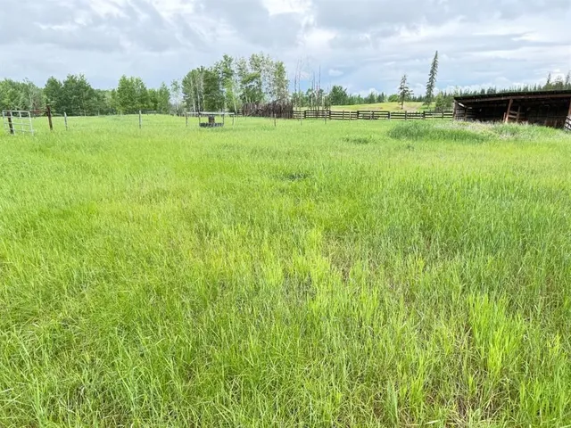 621088 RGE RD 53 NE, Fort Assiniboine 5