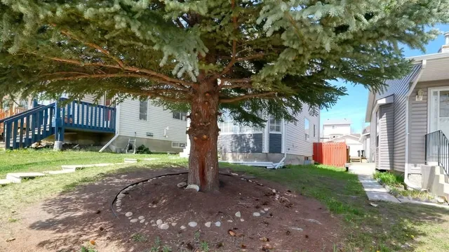 157 Harvest Gold Hts, Calgary 3