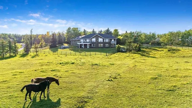 286027 11 St, Rural Foothills County 5