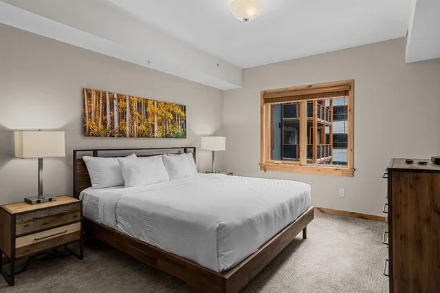 905 Spring Creek Dr #208, Canmore 5