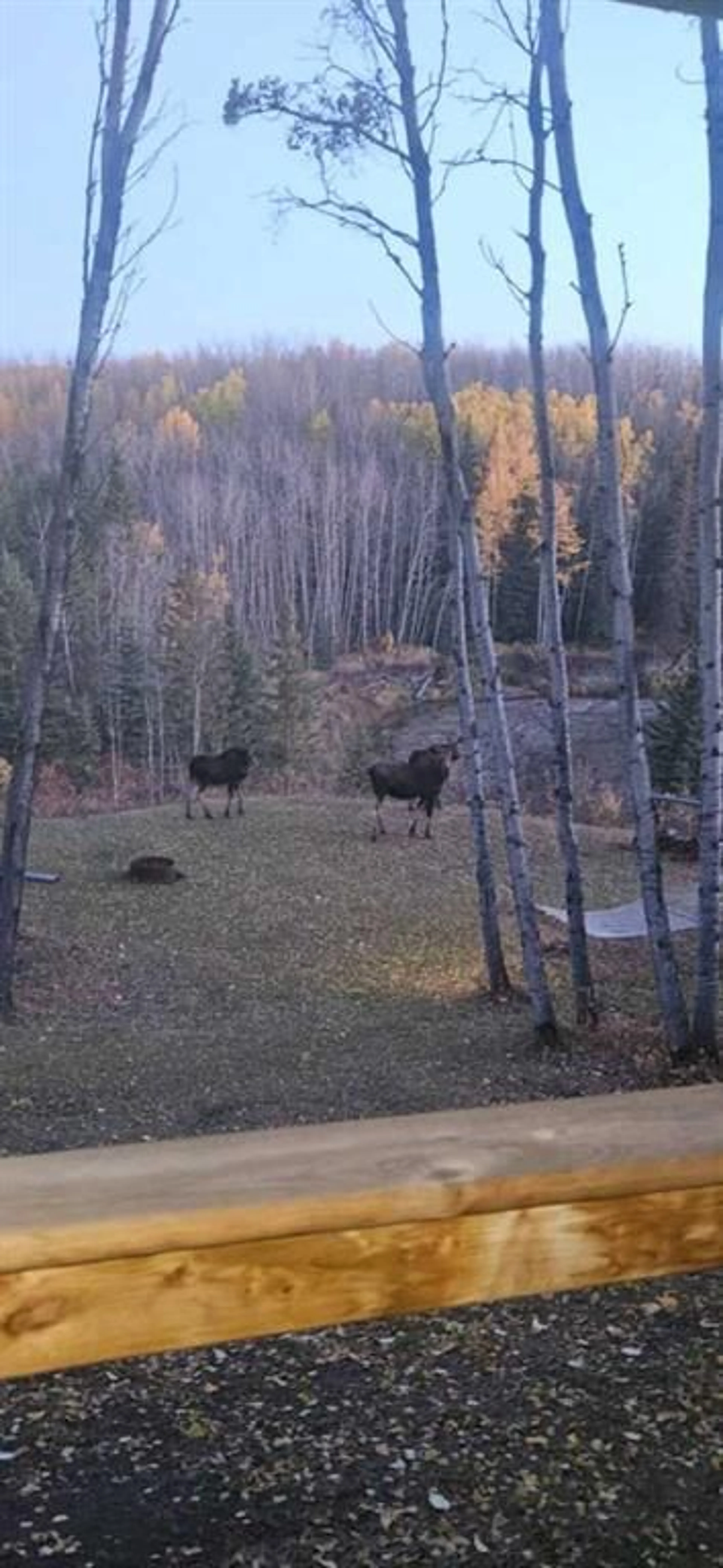 pillar/IMG-A2345284_3.jpg