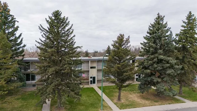 218 Mayor Magrath Dr #3, Lethbridge 4
