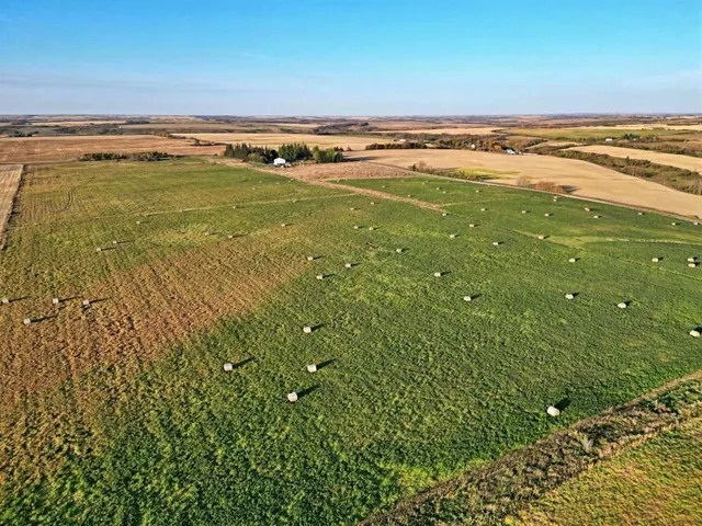 50330 RR 83, Rural Minburn No. 27, County of 5