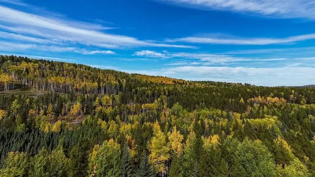 85035 TWP RD 37-4, Rocky Mountain House 3