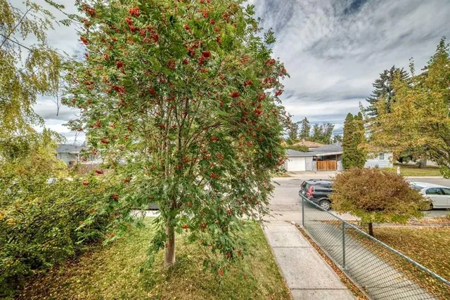 7409 37 Ave, Calgary 4
