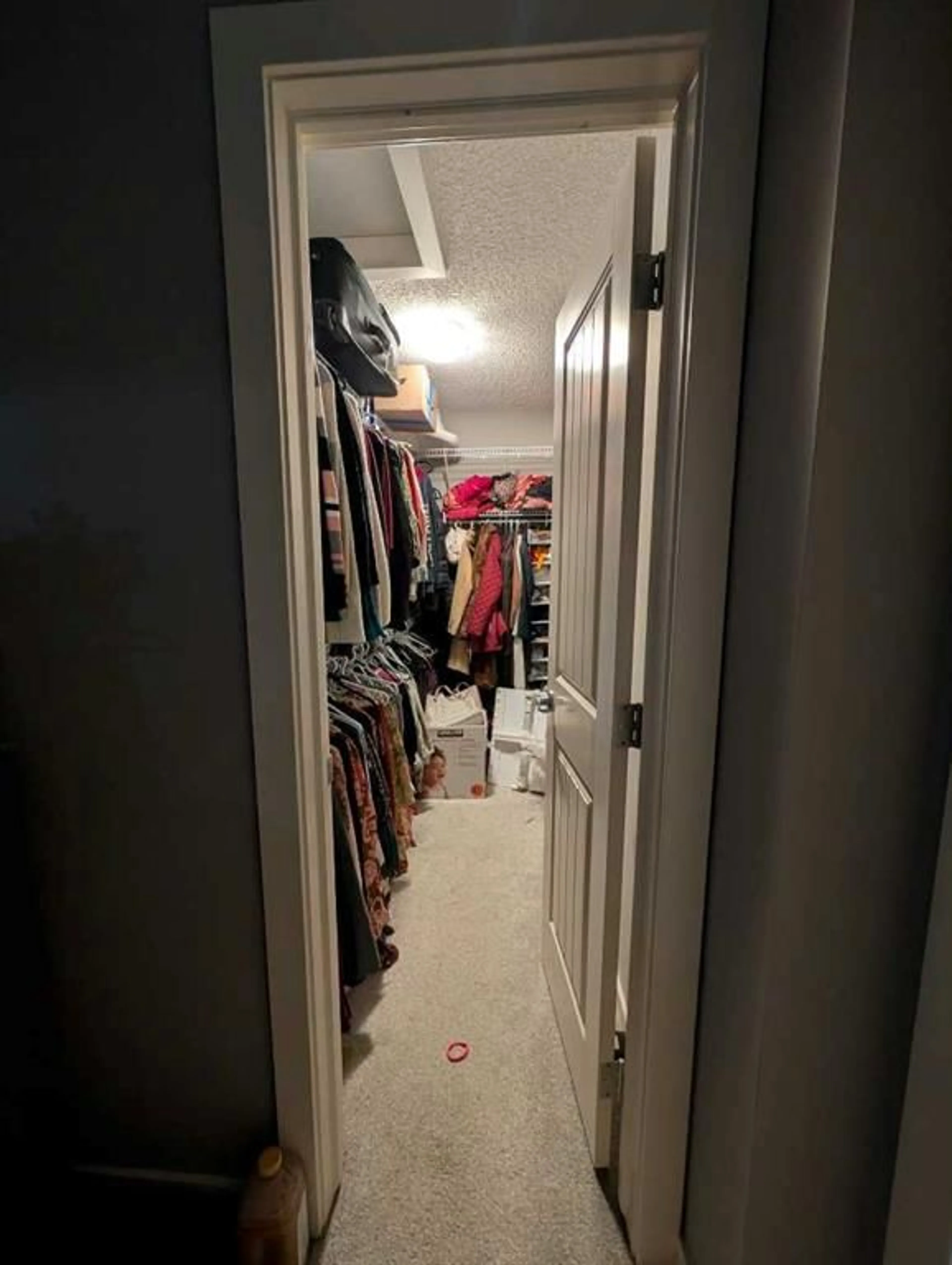 pillar/IMG-A2351693_3.jpg