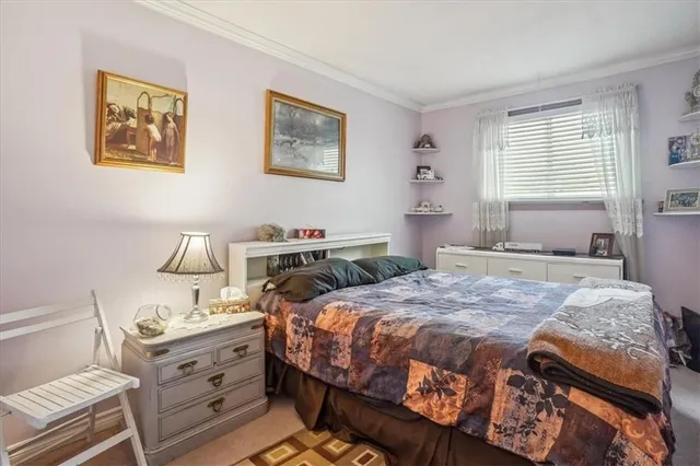 Additional property image - 3245 PALMER Dr