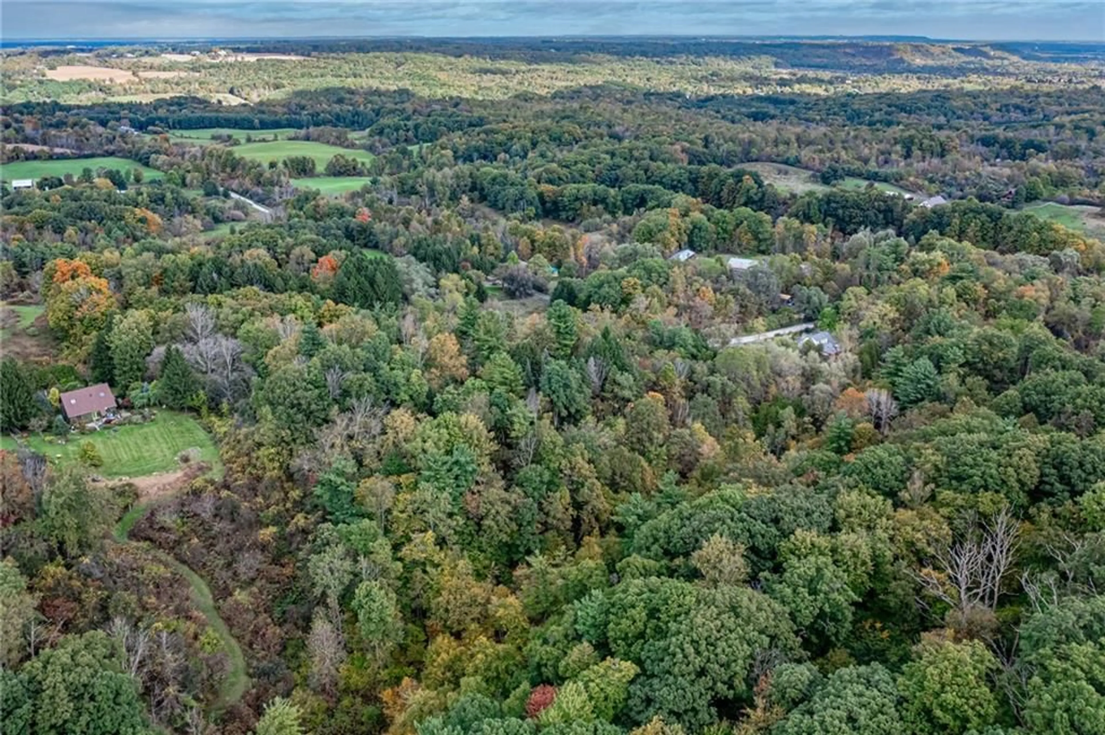 Forest view for 1296 MINERAL SPRINGS Rd, Ancaster Ontario L9H 5E3