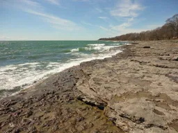 history photo preview