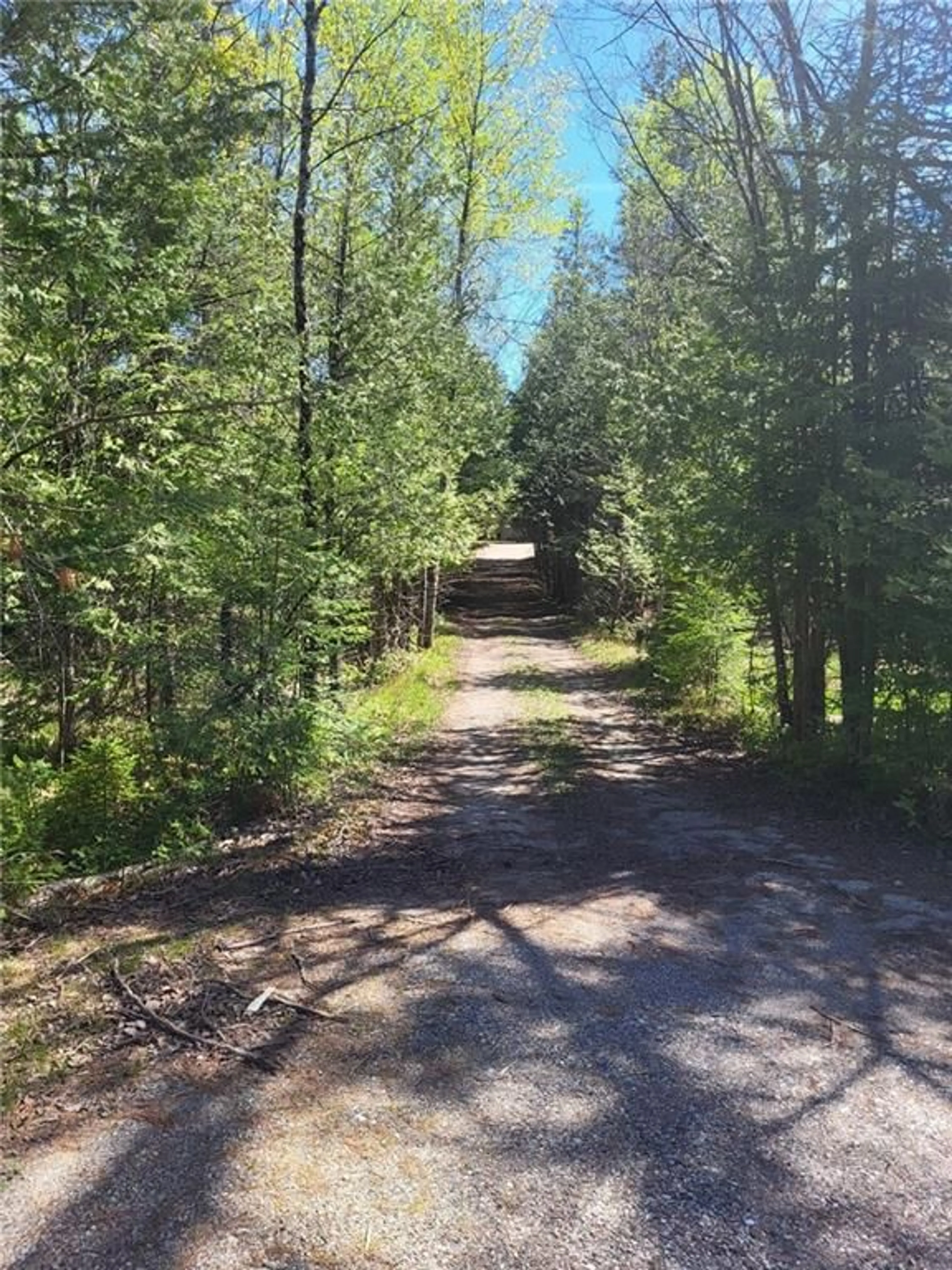 Forest view for 1130 Bull Lake Rd, Arden Ontario K0H 1B0