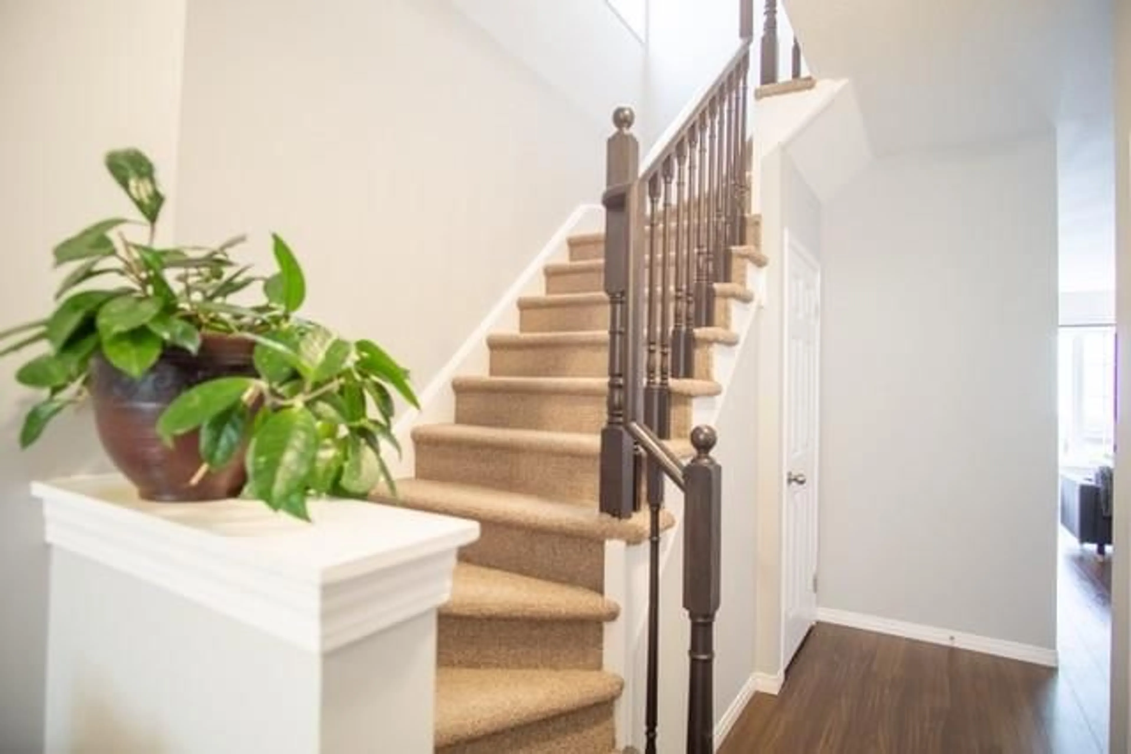 Stairs for 21 Diana Ave, Brantford Ontario N3T 0G7