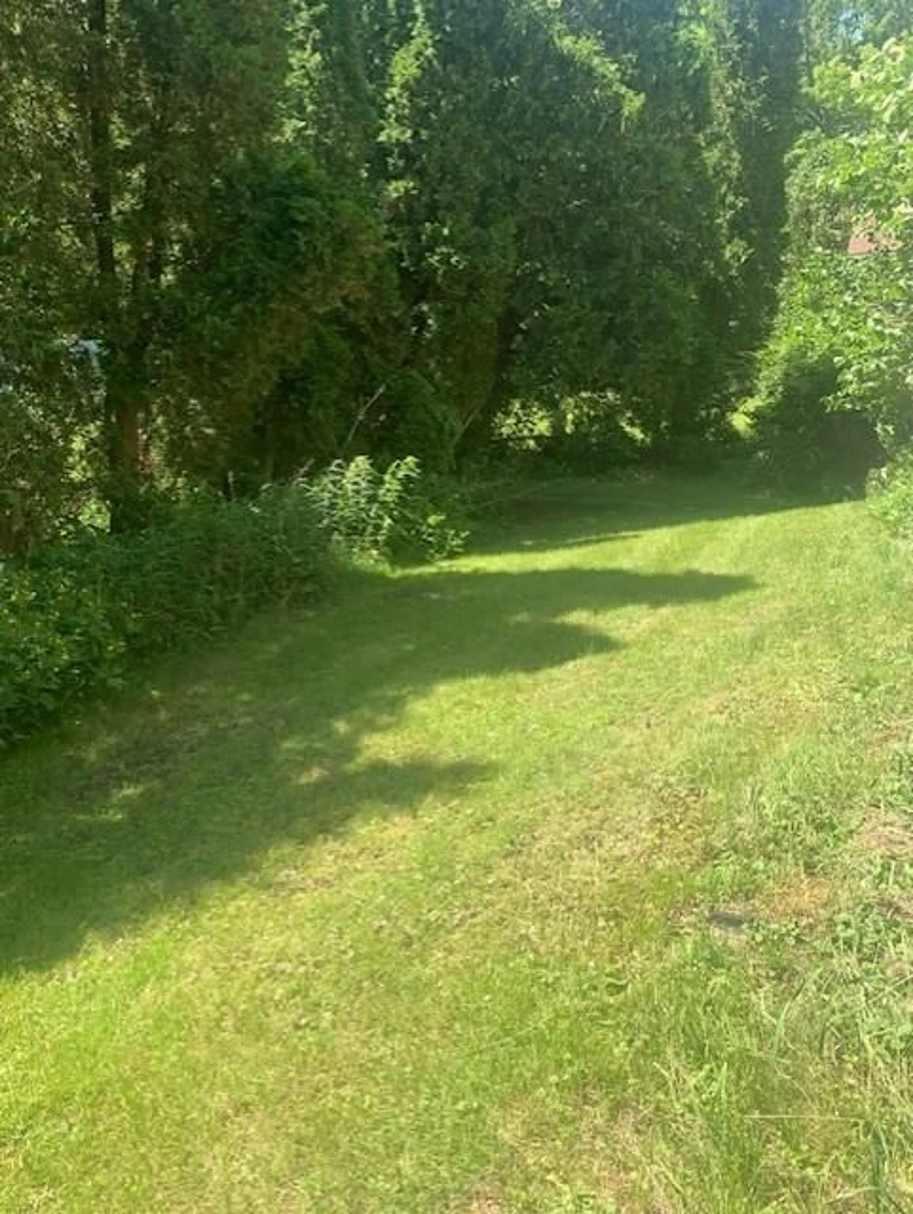 Frontside or backside of a home, the fenced backyard for 847 #24 Hwy, Norfolk Ontario N0E 1P0