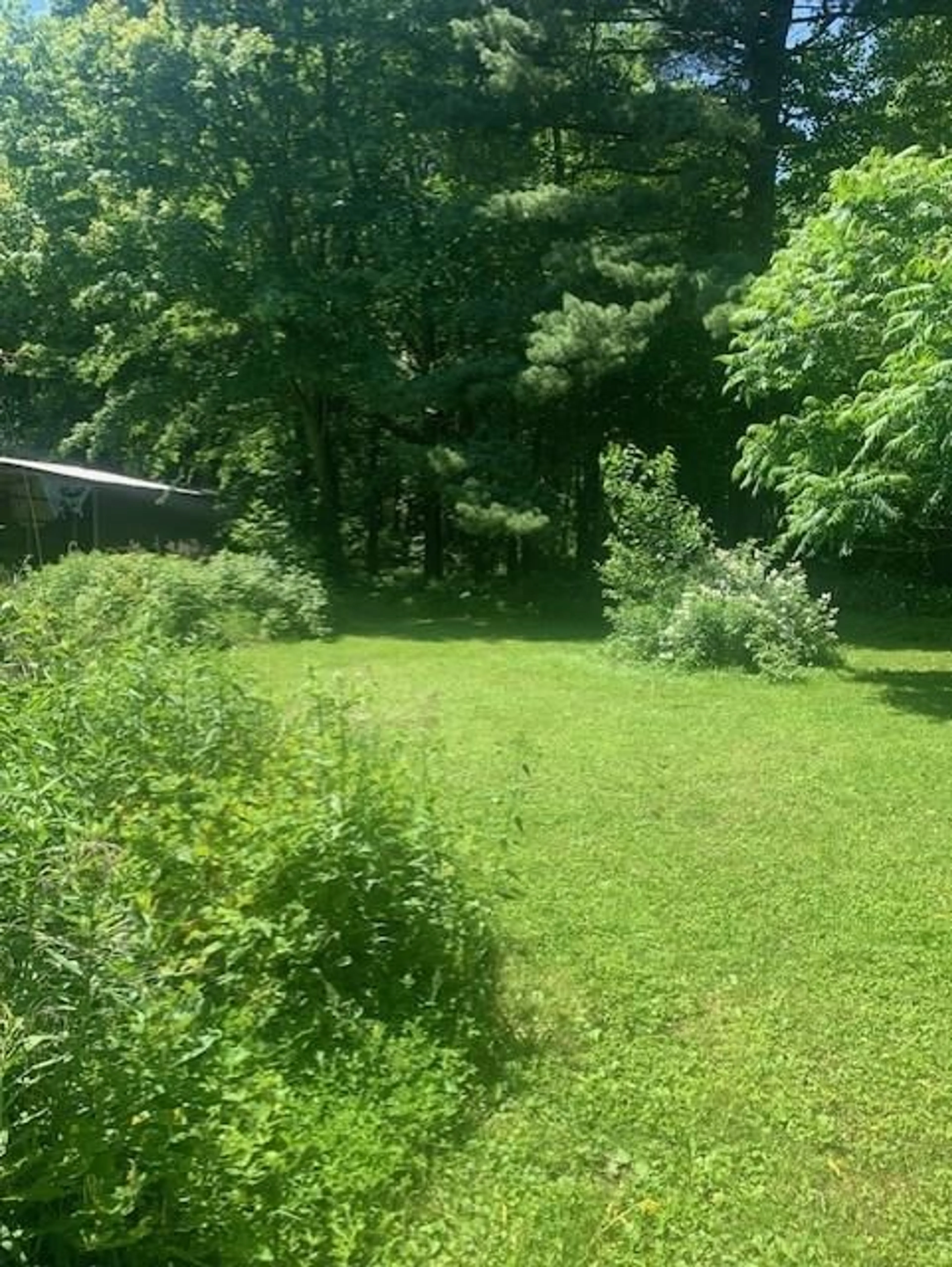 A pic from exterior of the house or condo, the fenced backyard for 847 #24 Hwy, Norfolk Ontario N0E 1P0