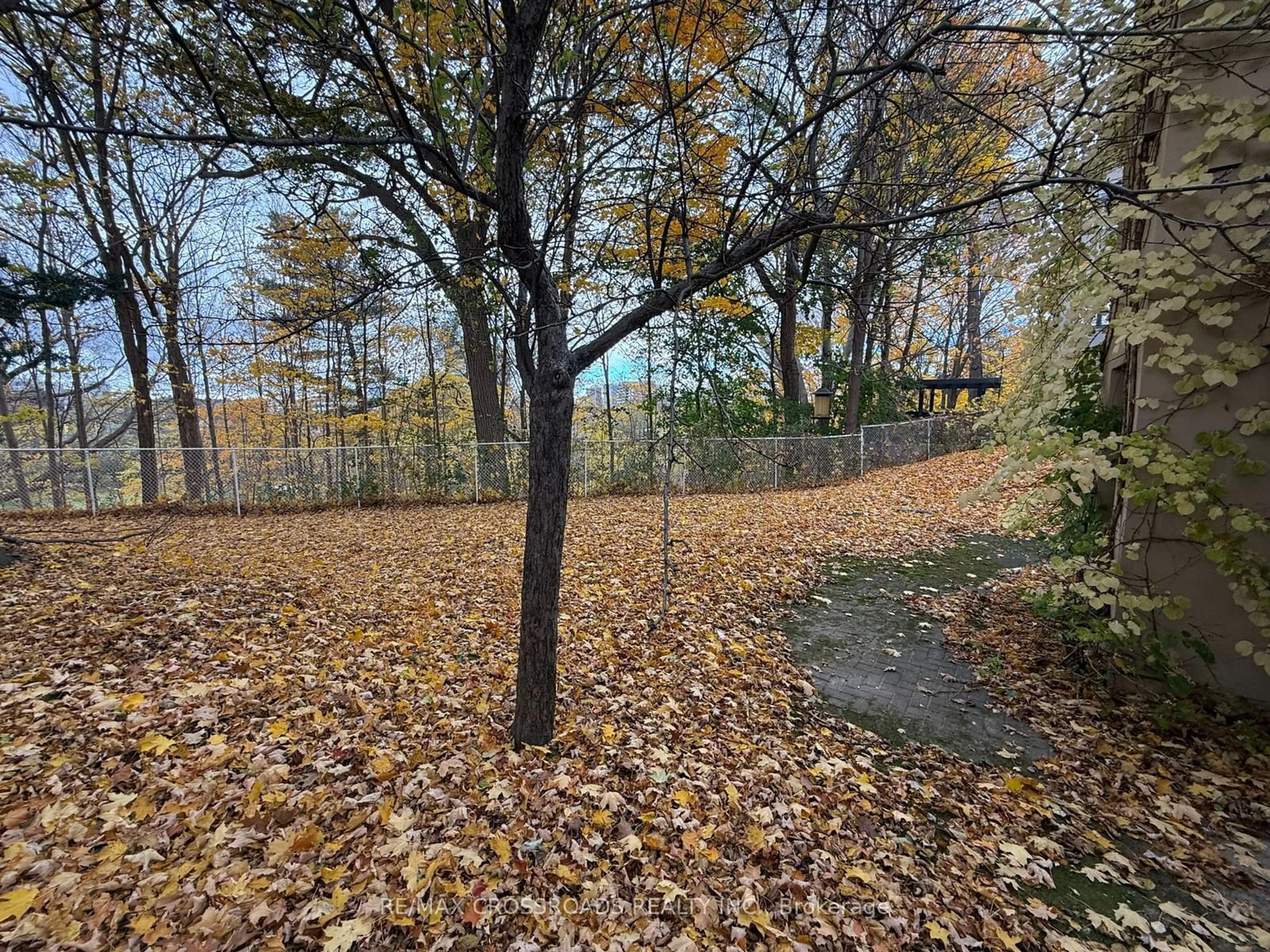 A pic from exterior of the house or condo, the fenced backyard for 36 Ruden Cres, Toronto Ontario M3A 3H3