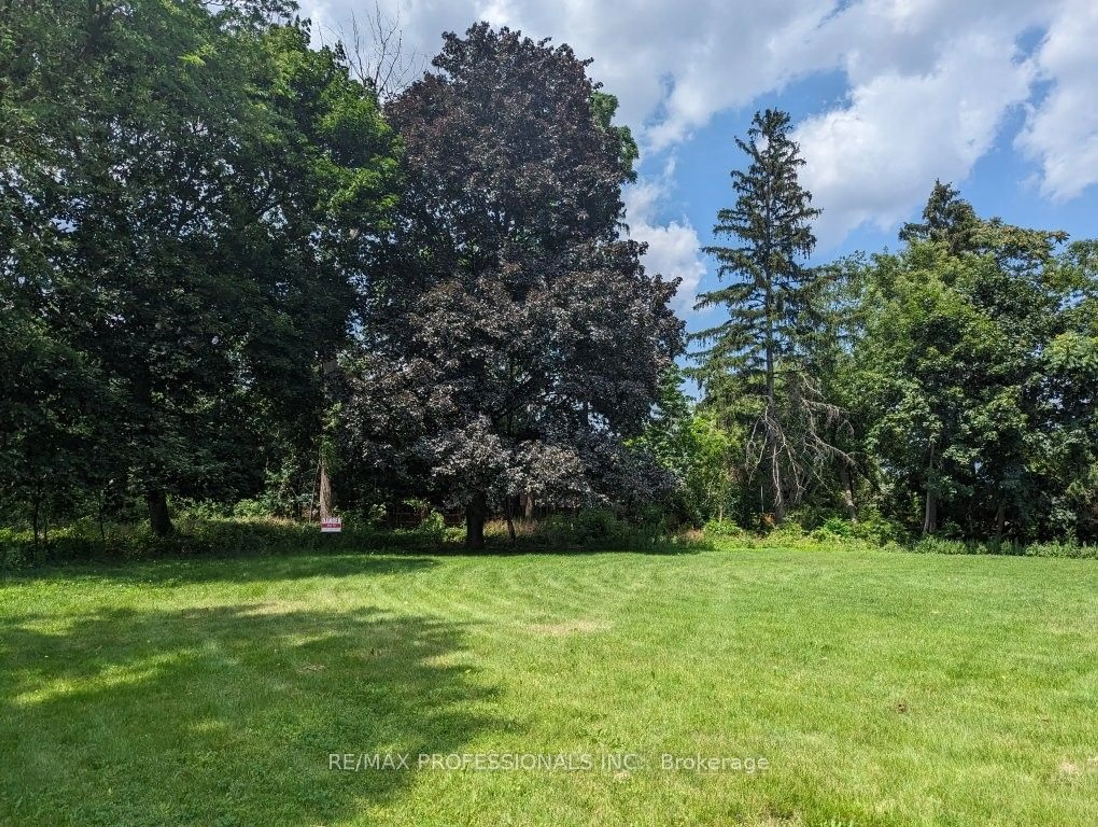 A pic from outside/outdoor area/front of a property/back of a property/a pic from drone, forest/trees view for 11 Gibson Ave, Toronto Ontario M9V 2S5