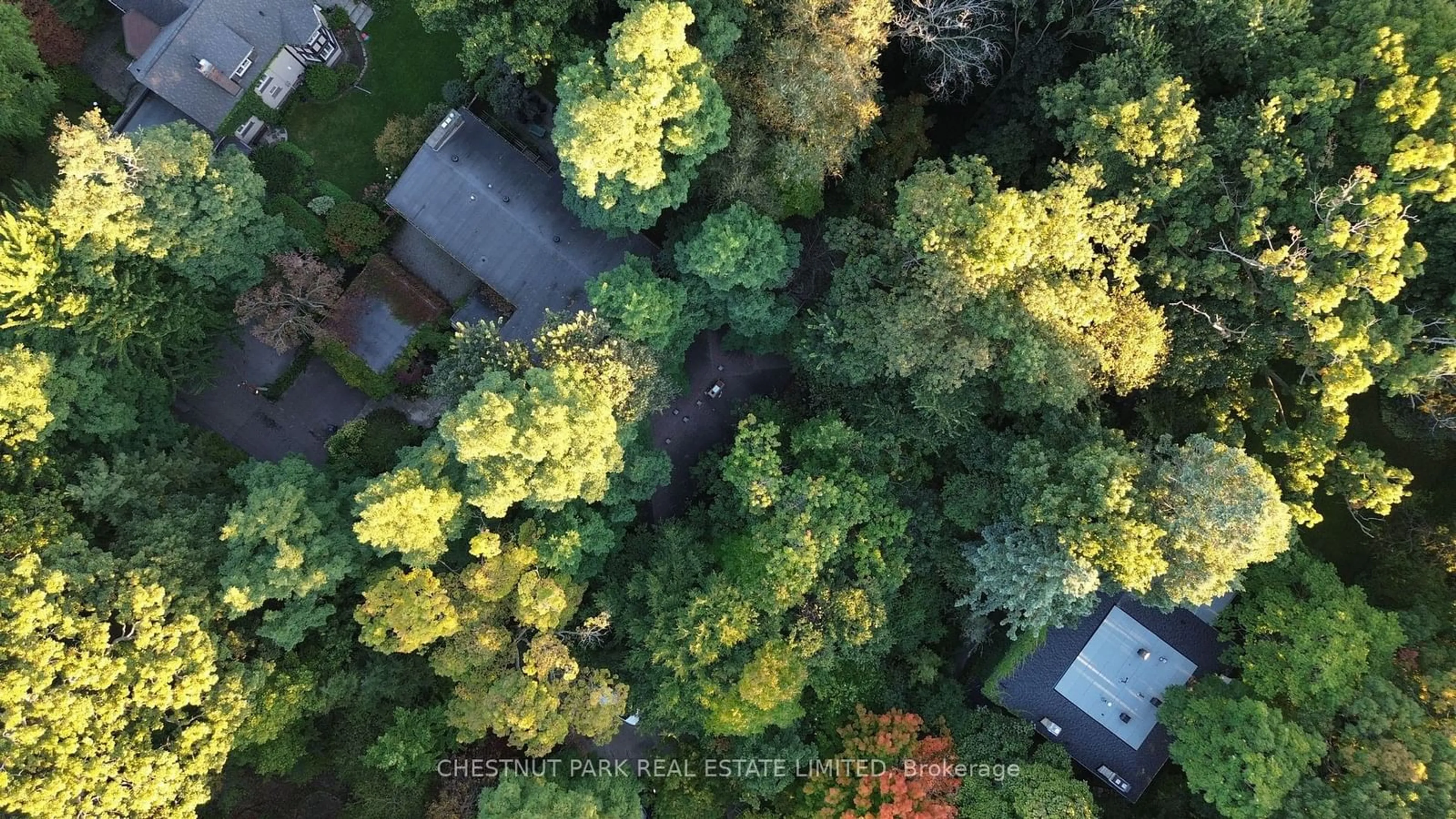 A pic from outside/outdoor area/front of a property/back of a property/a pic from drone, forest/trees view for 6C Wychwood Park, Toronto Ontario M6G 2V5