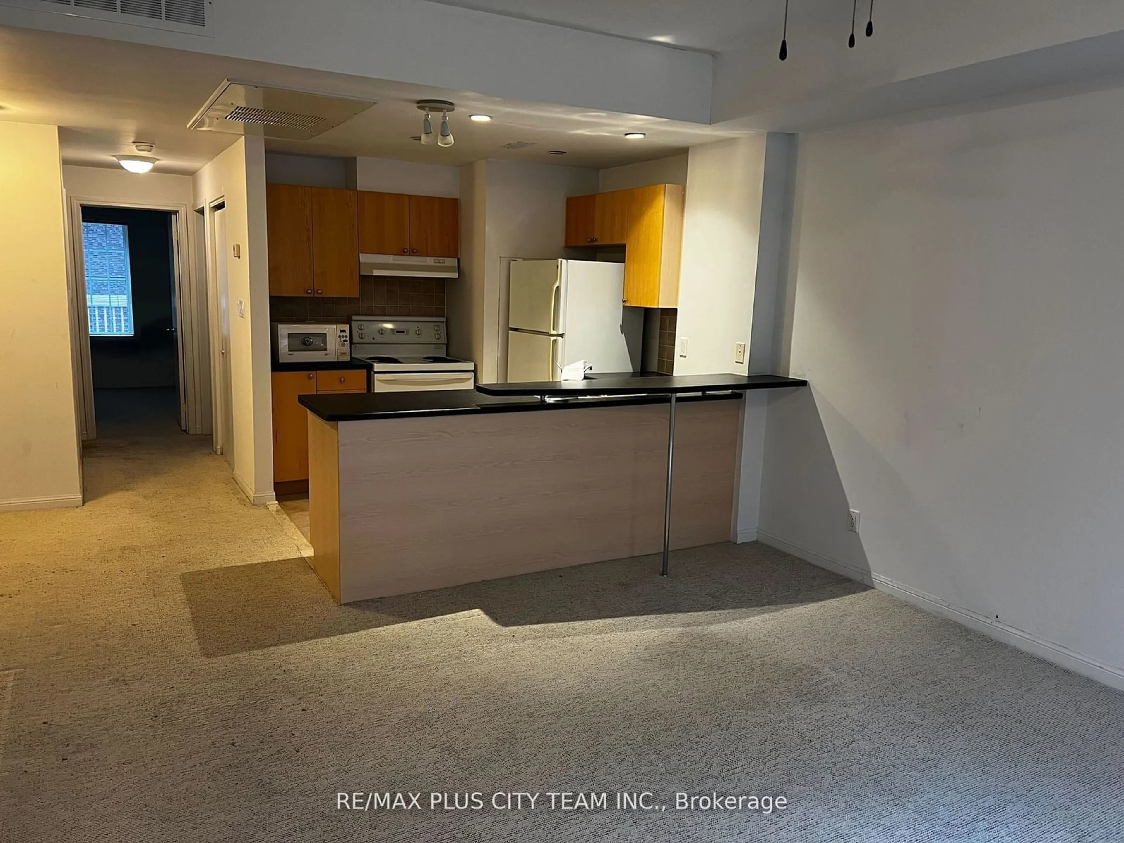 Standard kitchen, unknown for 11 Niagara St #Th42, Toronto Ontario M5V 3N9