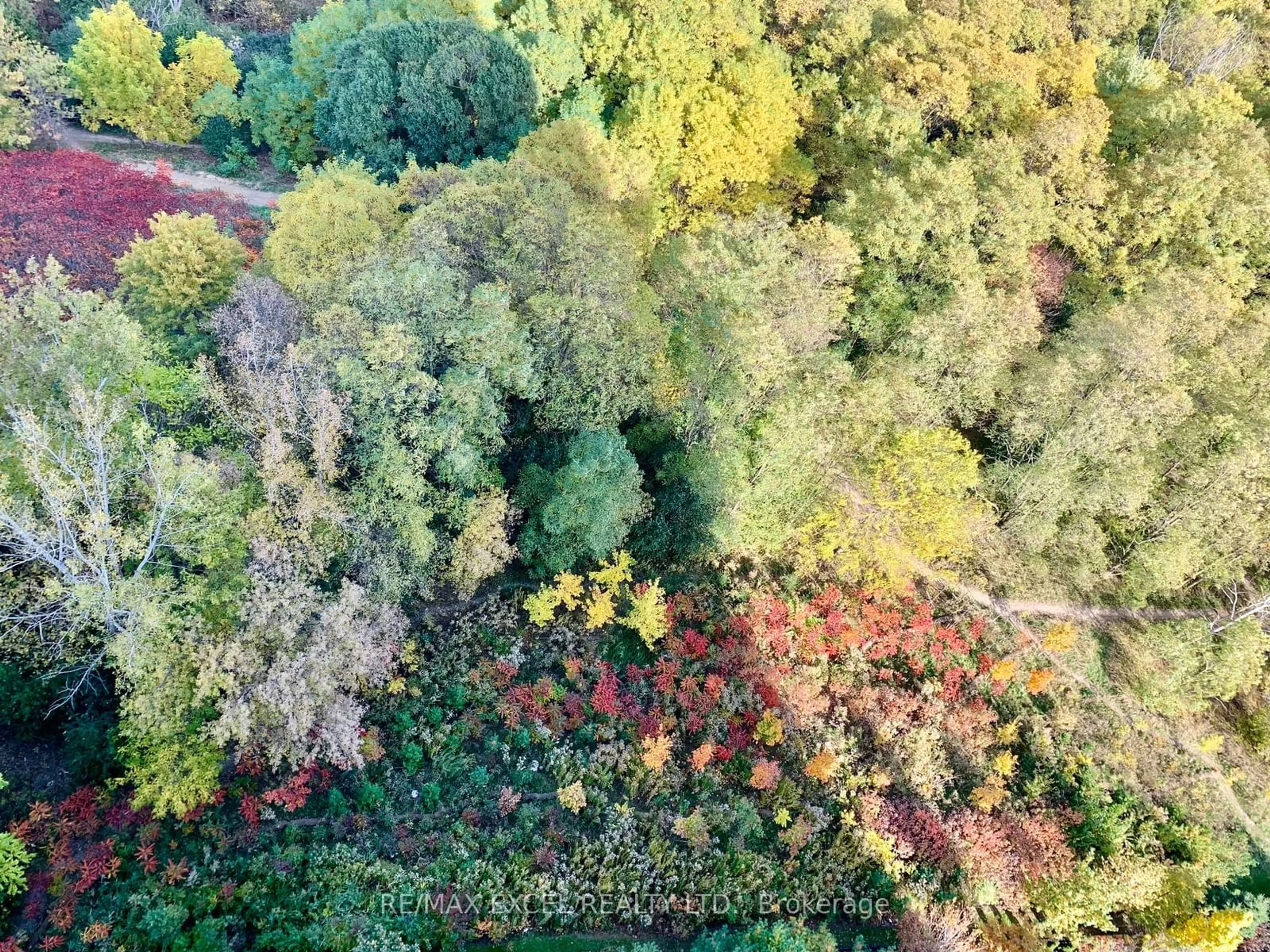 A pic from outside/outdoor area/front of a property/back of a property/a pic from drone, forest/trees view for 160 Vanderhoof Ave #1701, Toronto Ontario M4G 0B7