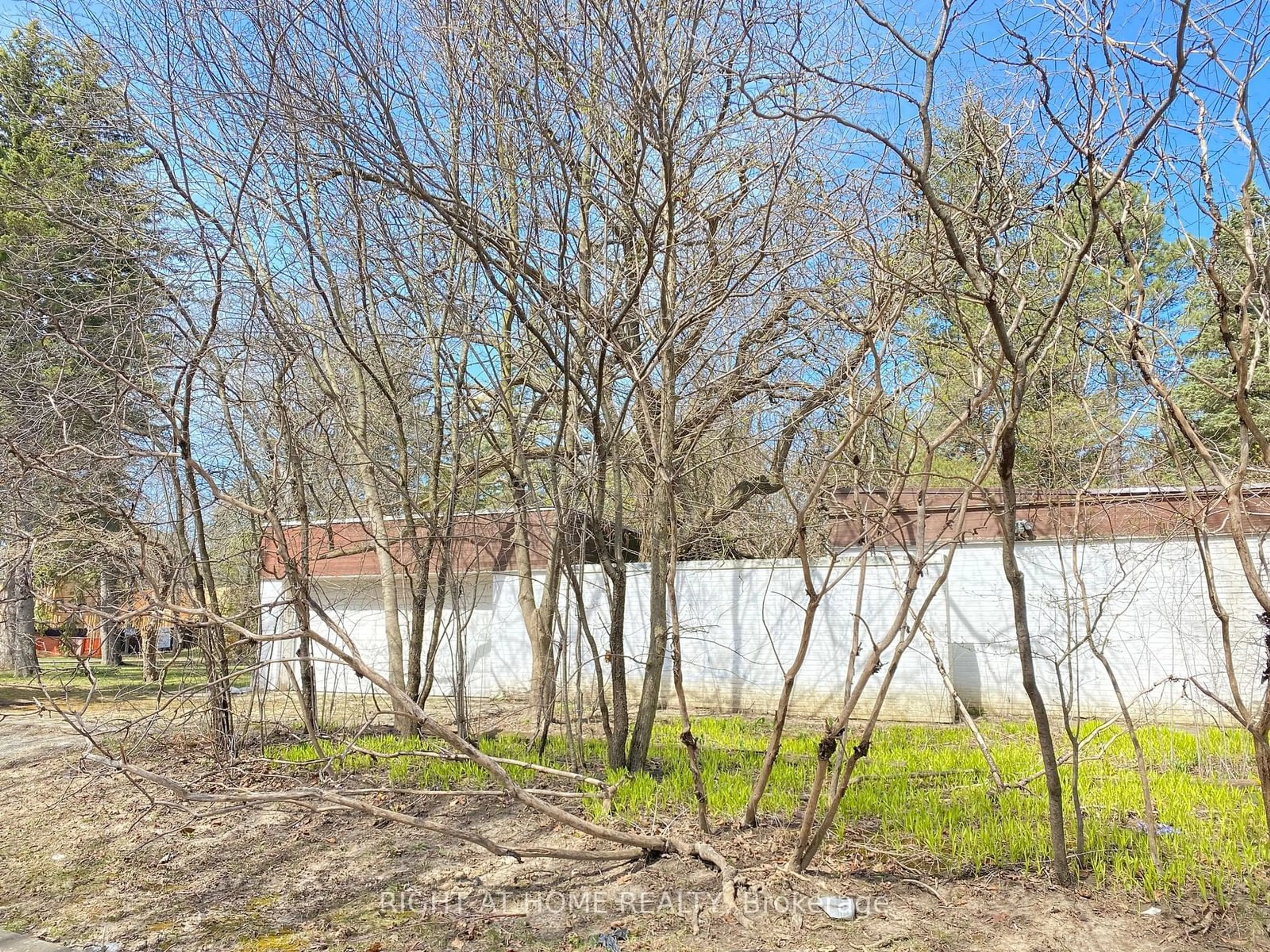 A pic from outside/outdoor area/front of a property/back of a property/a pic from drone, forest/trees view for 48 The Bridle Path, Toronto Ontario M2L 1C8