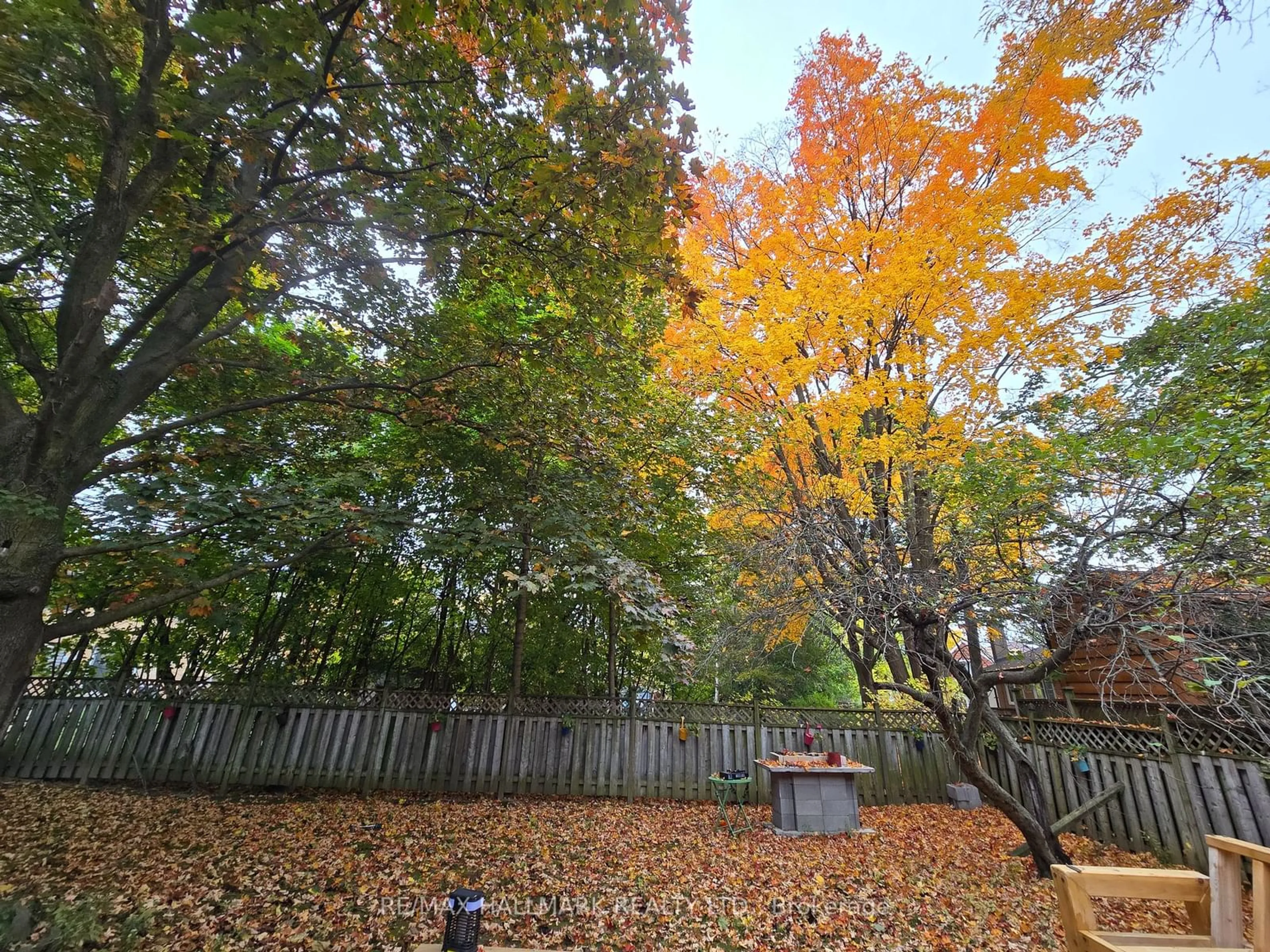 A pic from outside/outdoor area/front of a property/back of a property/a pic from drone, forest/trees view for 10 Ternhill Cres, Toronto Ontario M3C 2E5