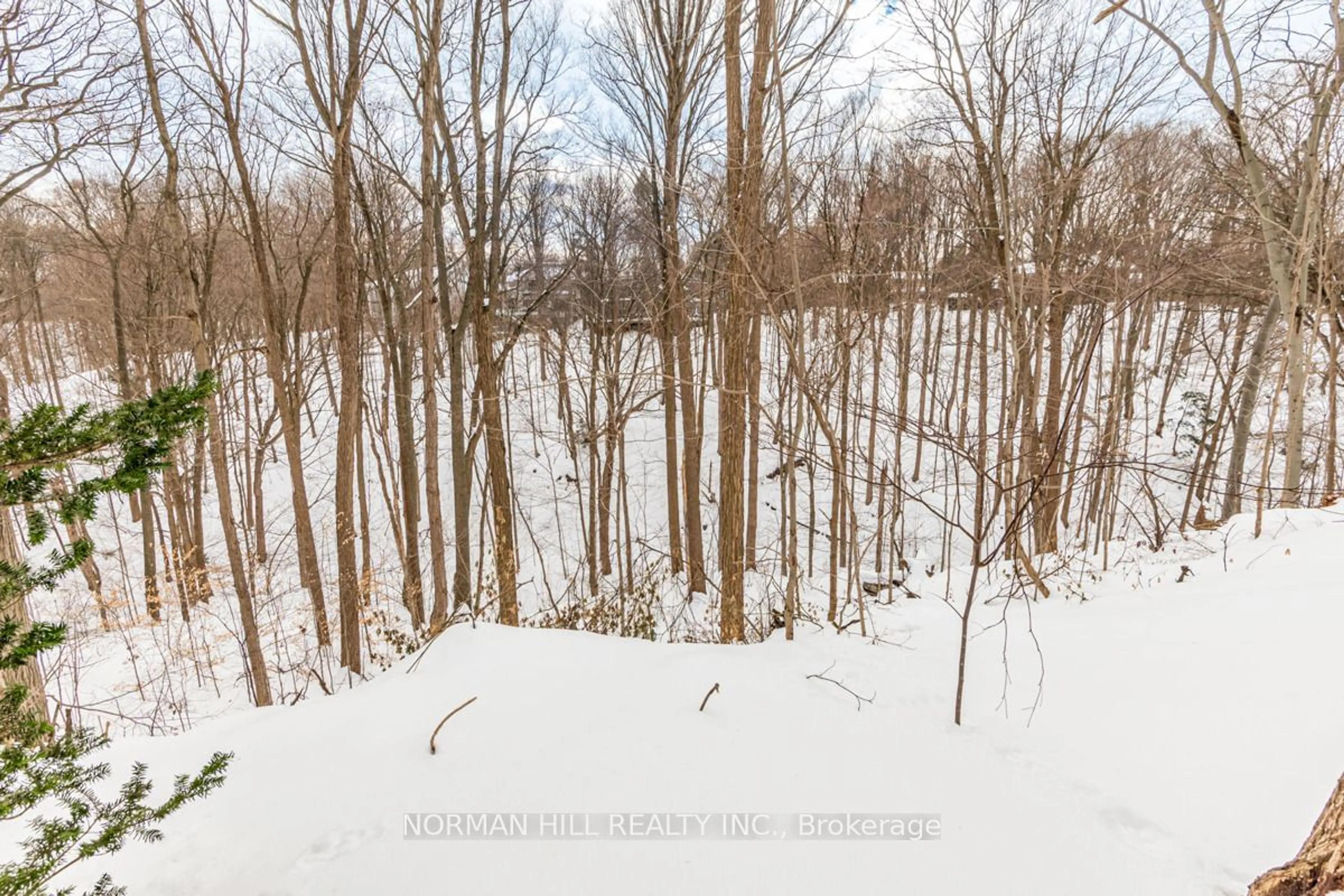 A pic from outside/outdoor area/front of a property/back of a property/a pic from drone, forest/trees view for 49 Timberlane Dr, Toronto Ontario M3H 1J3